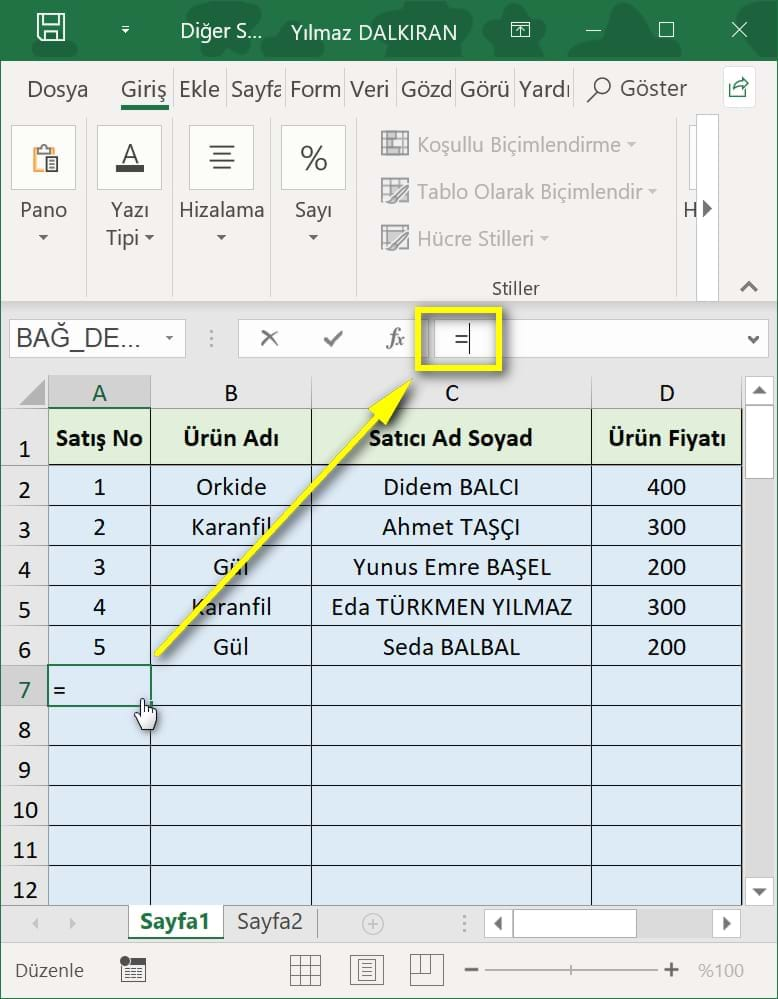 diğer sayfalar ve kitaplardaki verileri kullanma