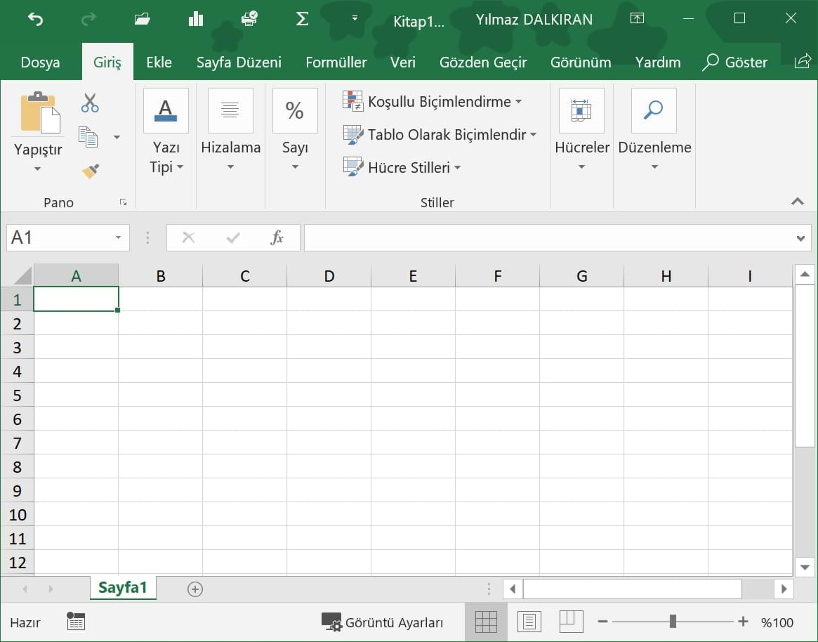 şerit görüntüleme seçenekleri display ribbon options