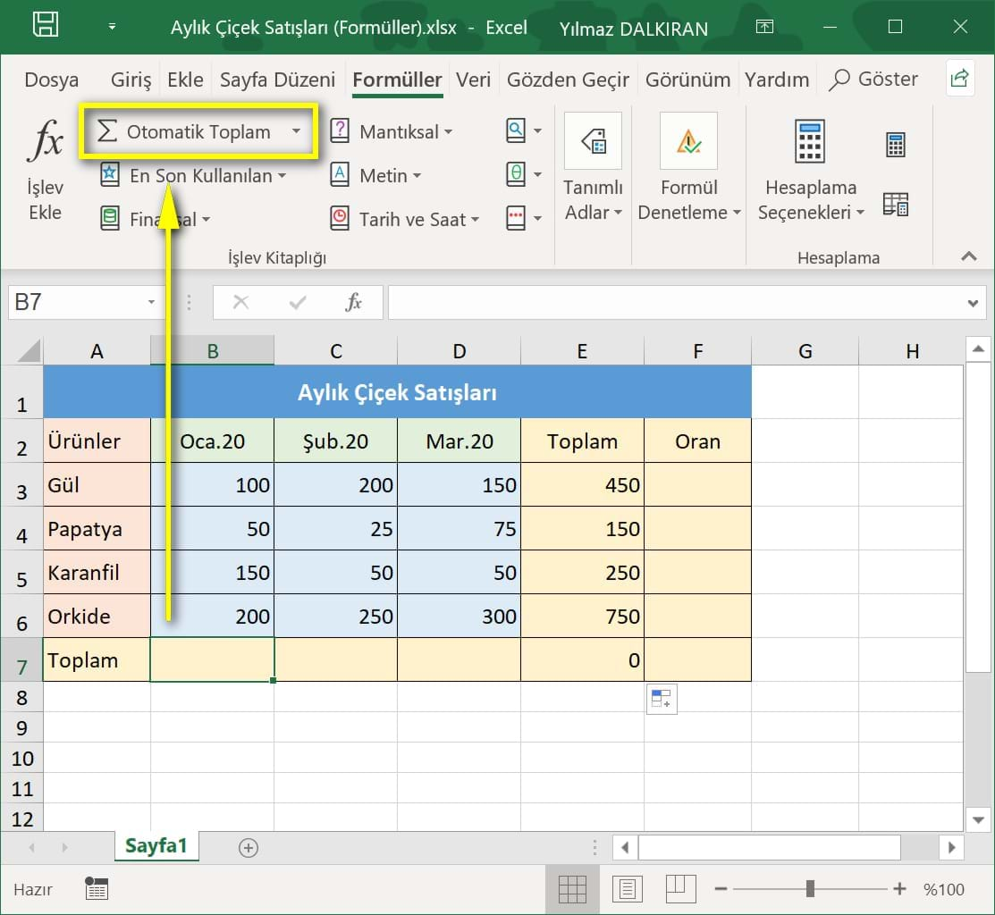topla formülü ve otomatik toplam