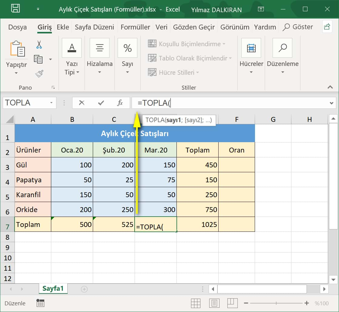 topla formülü ve otomatik toplam