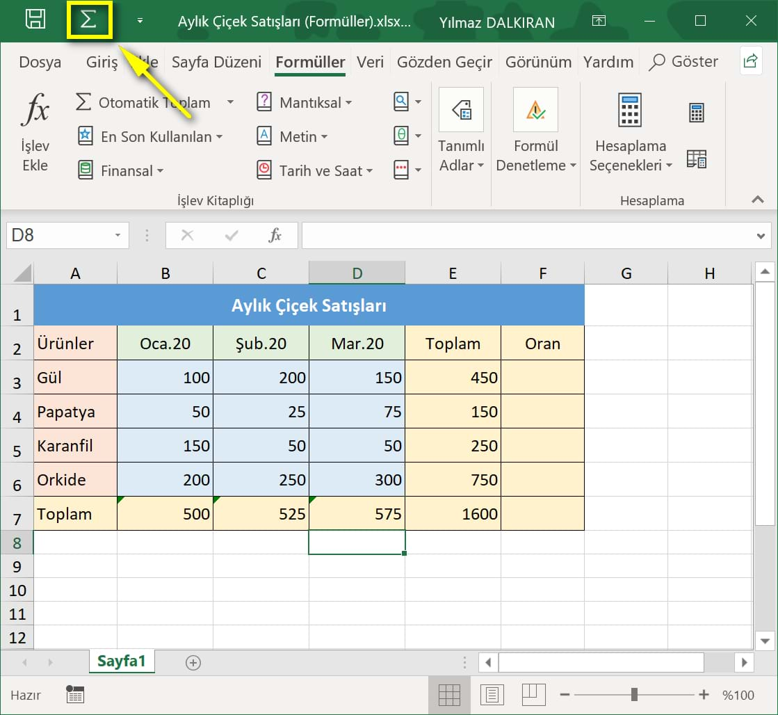 topla formülü ve otomatik toplam
