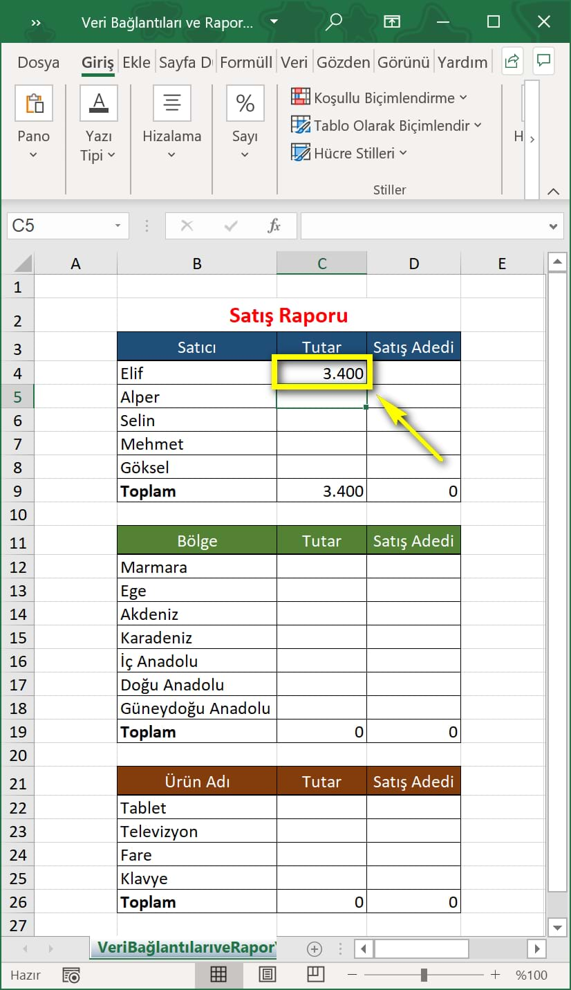 veri bağlantıları ve rapor yazdırma