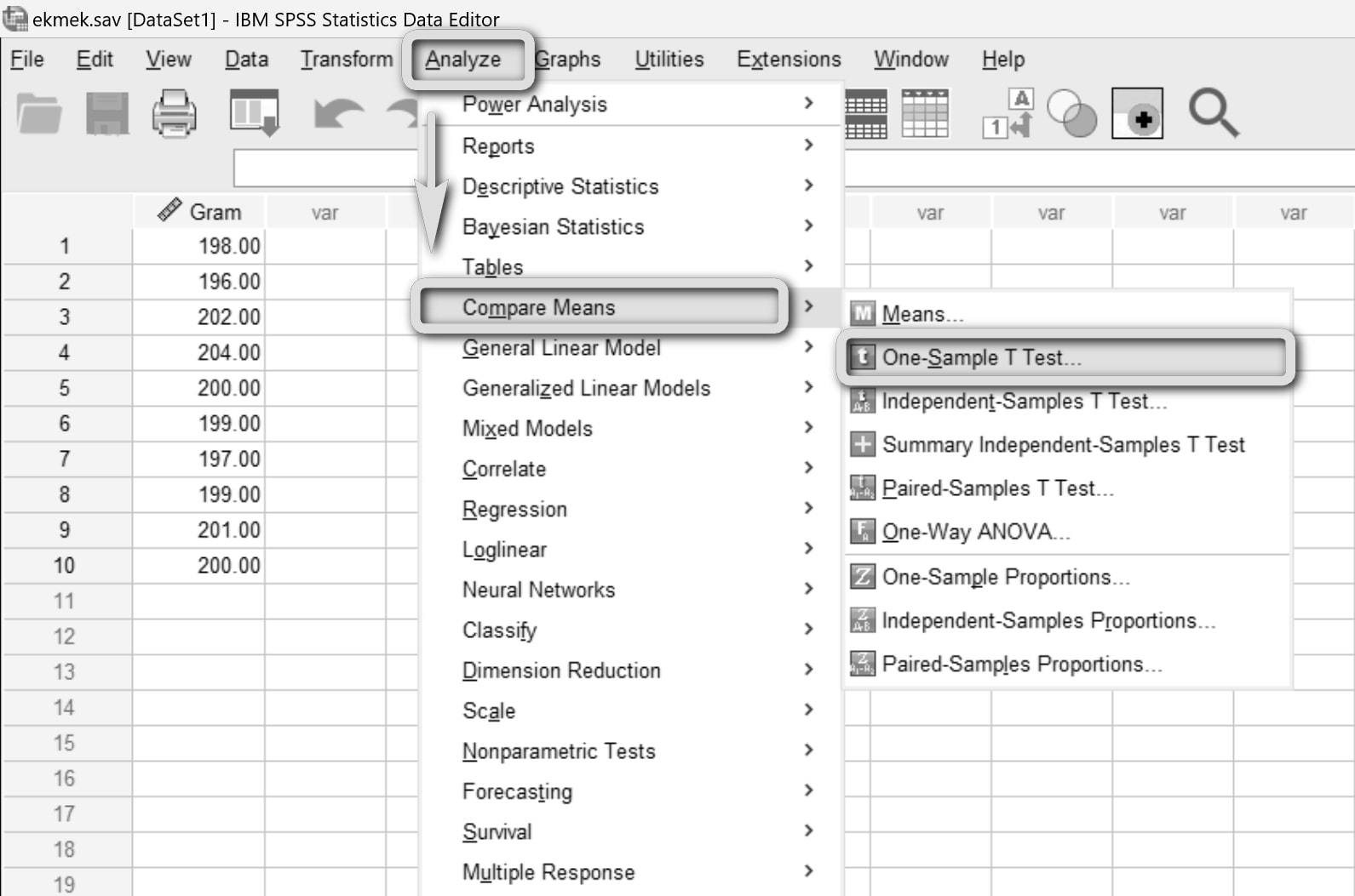 spss'te hipotez testi