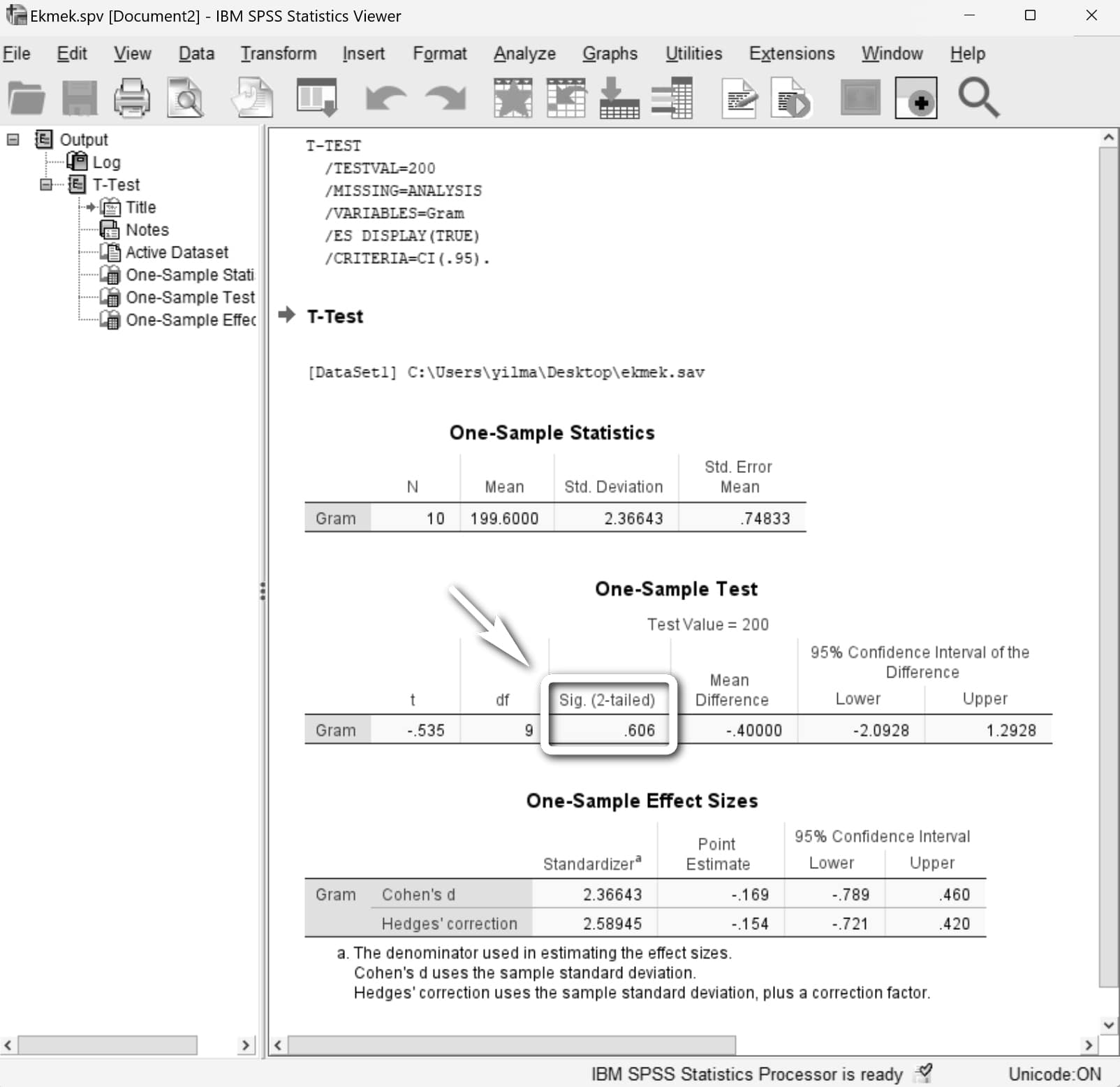 spss'te hipotez testi