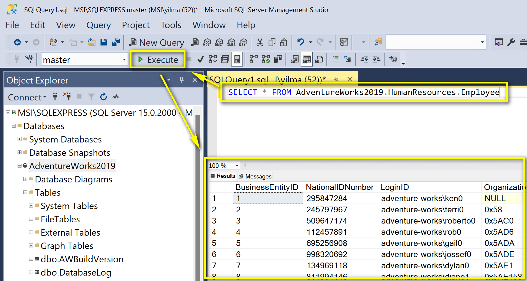 SQL sorgu sonuçlarının dışa aktarılması