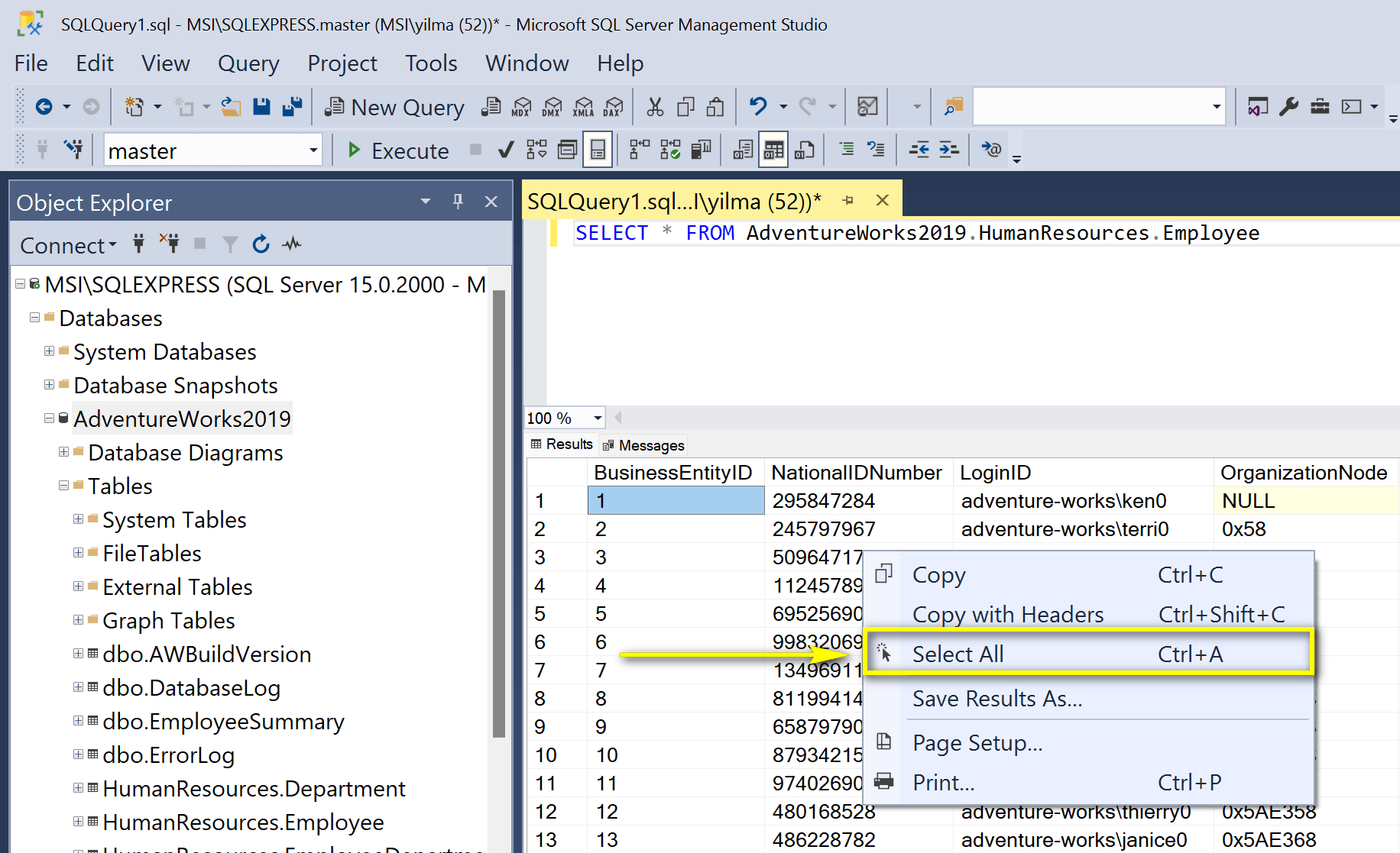 SQL sorgu sonuçlarının dışa aktarılması