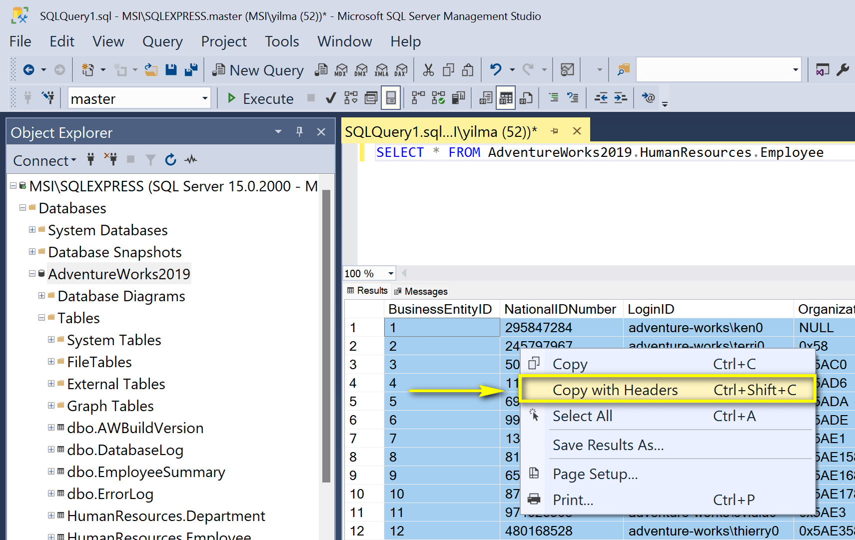 SQL sorgu sonuçlarının dışa aktarılması