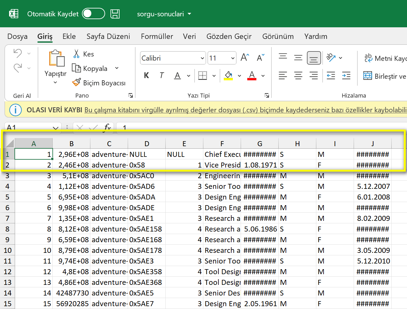 SQL sorgu sonuçlarının dışa aktarılması