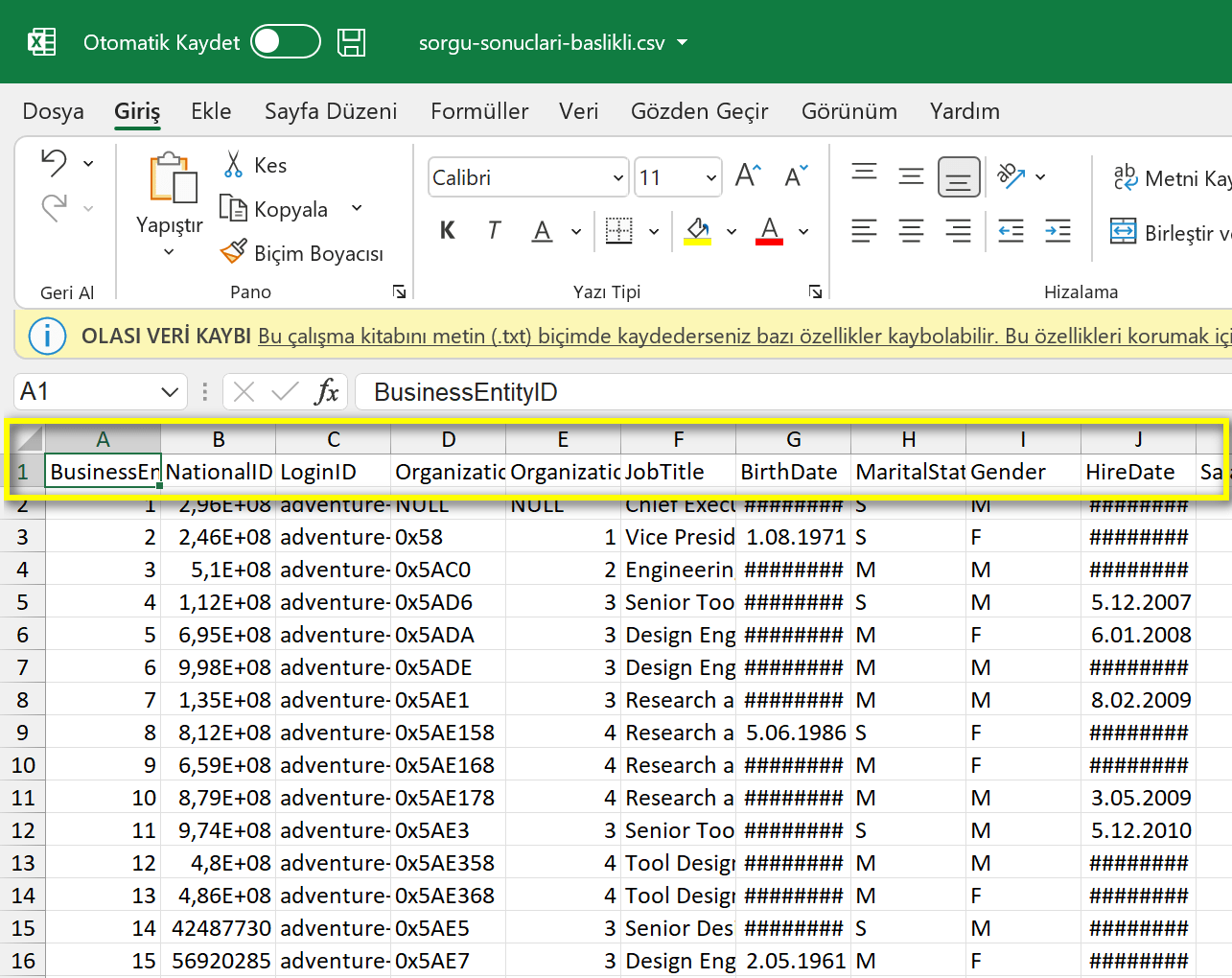 SQL sorgu sonuçlarının dışa aktarılması