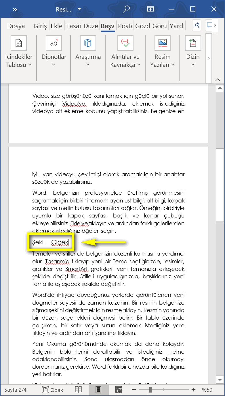 resim yazısı ve çapraz başvuru ekleme